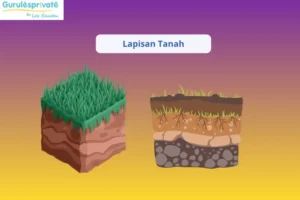 struktur lapisan tanah