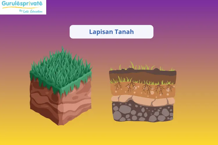 struktur lapisan tanah